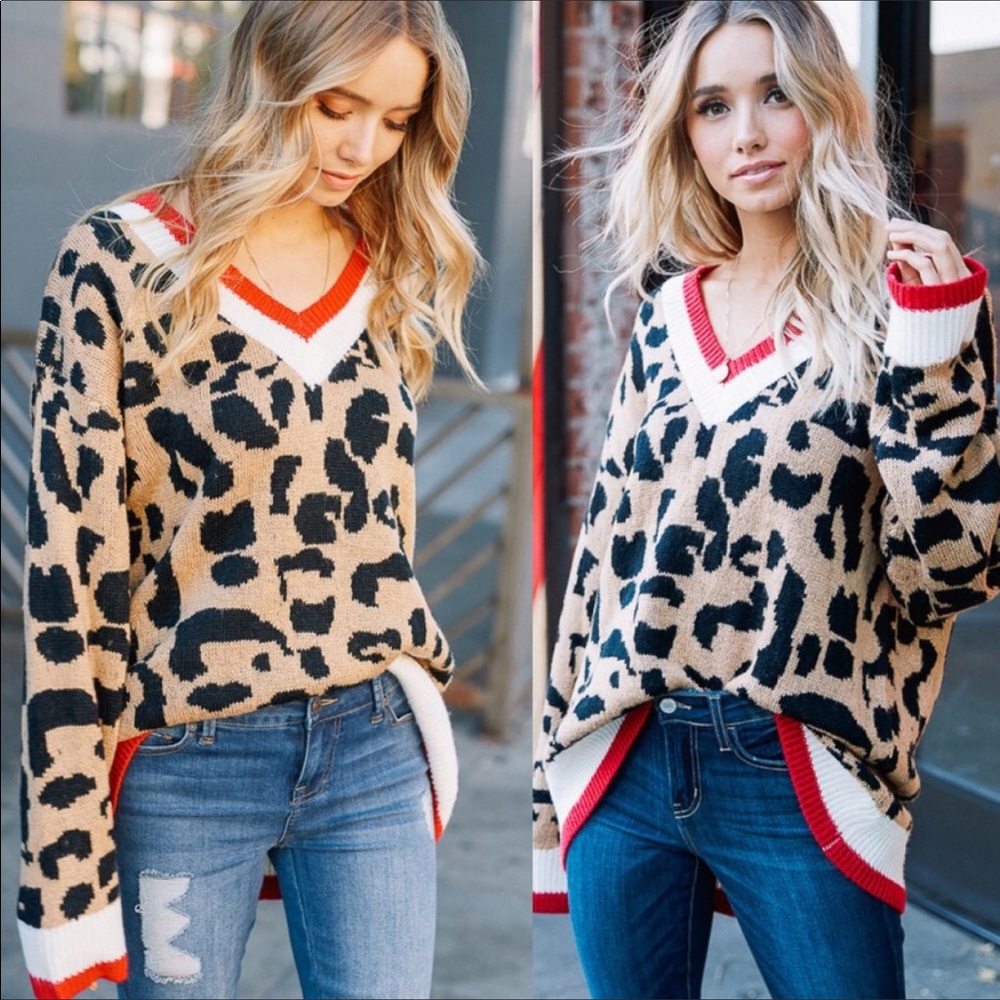 💥NWT LAST ONE💥Leopard Print V-Neck Sweater - Picture 4 of 4